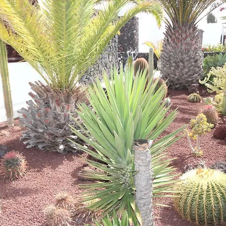 Willa Lanzarote *