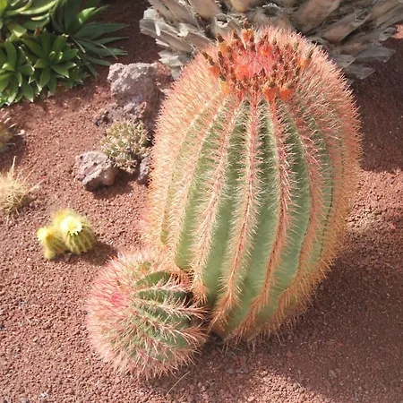 Villa Lanzarote